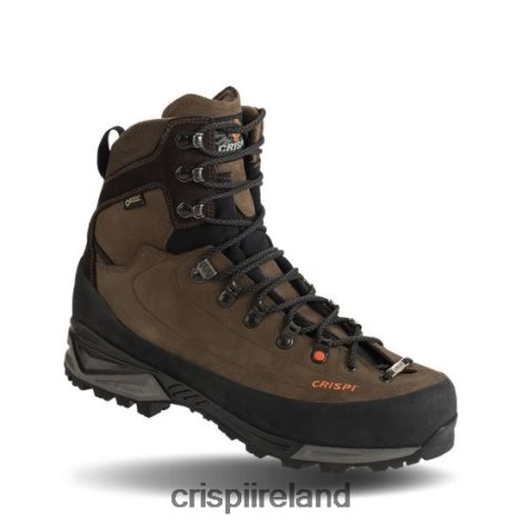 Boots Crispi Briksdal GTX Brown TT624H14