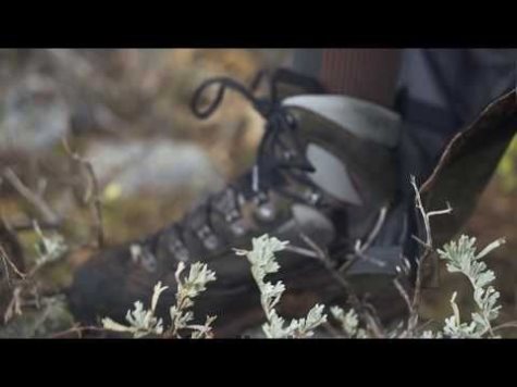 Boots Crispi Briksdal GTX Brown TT624H14