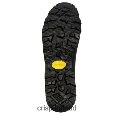 Boots Crispi Briksdal Pro GTX Grey TT624H12