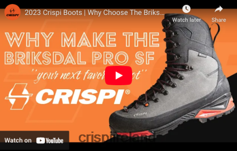 Boots Crispi Briksdal Pro SF GTX Grey TT624H3
