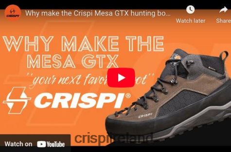 Boots Crispi Mesa GTX Brown TT624H62